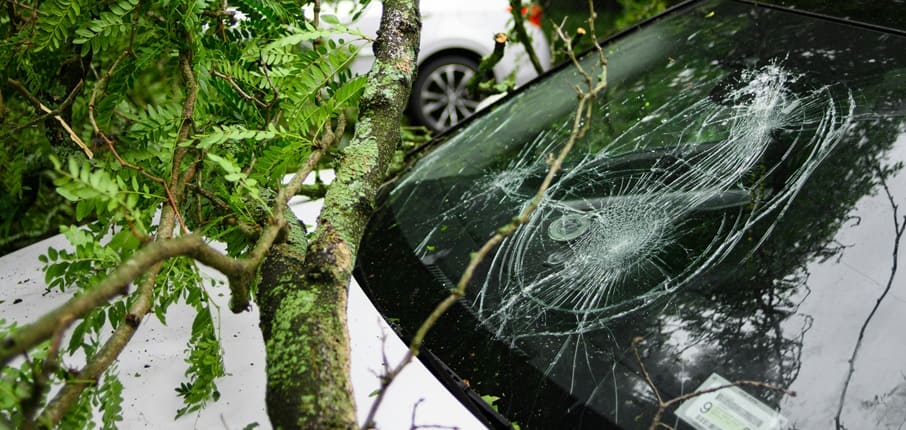 What Windscreen Damage is Covered under an Insurance Policy?